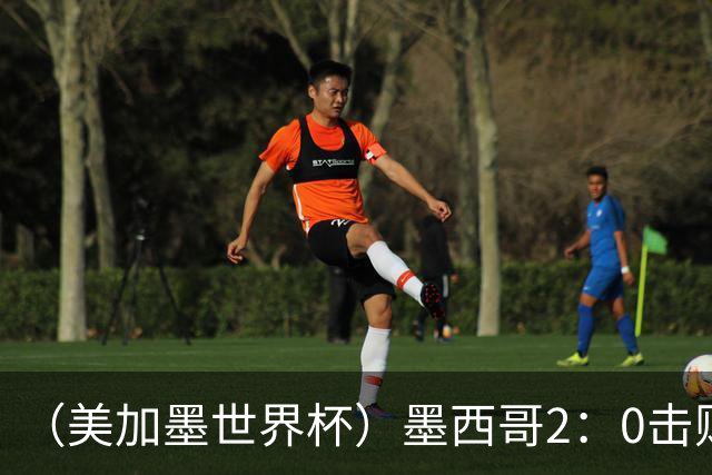 （美加墨世界杯）墨西哥2：0击败厄瓜多尔晋级16强